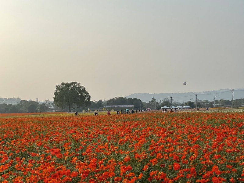 20251102-zxb50 20251102-zxb50