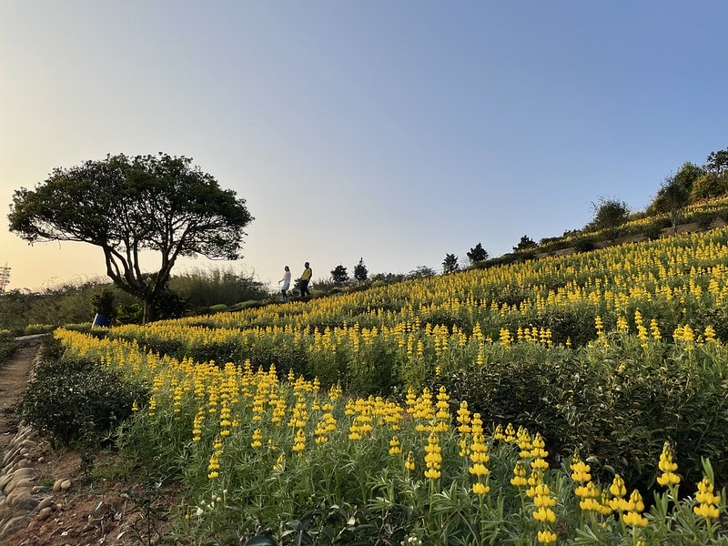 20251102-3b2w0 20251102-3b2w0