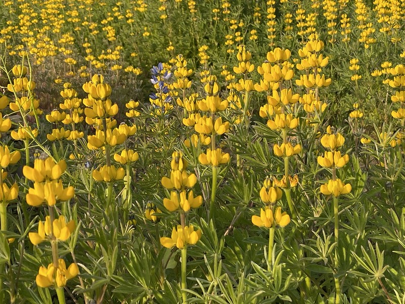 20251102-45kpa 20251102-45kpa