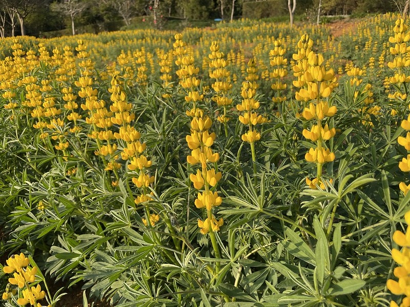 20251102-5gp7q 20251102-5gp7q