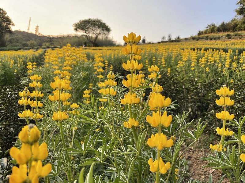 20251102-5kopj 20251102-5kopj