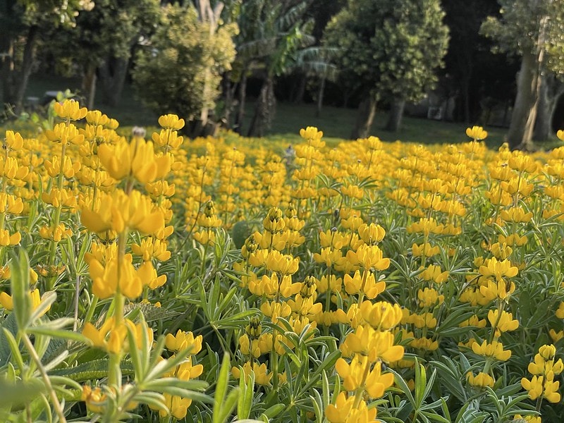 20251102-b0iqg 20251102-b0iqg