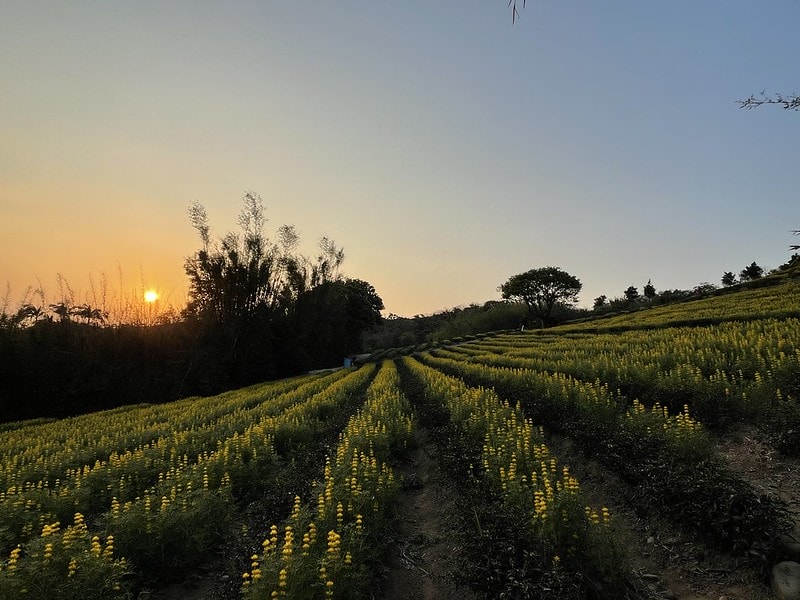 20251102-bb76o 20251102-bb76o