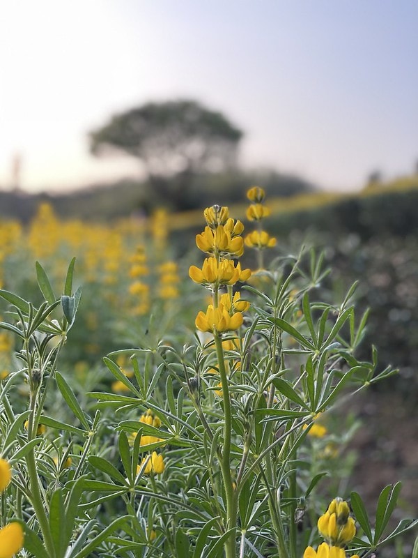 20251102-cjohr 20251102-cjohr