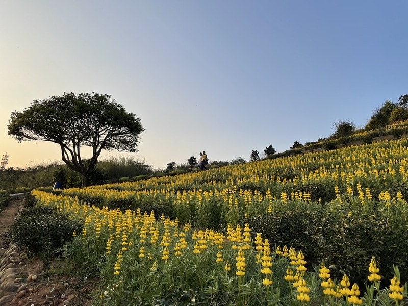 20251102-cpkrr 20251102-cpkrr