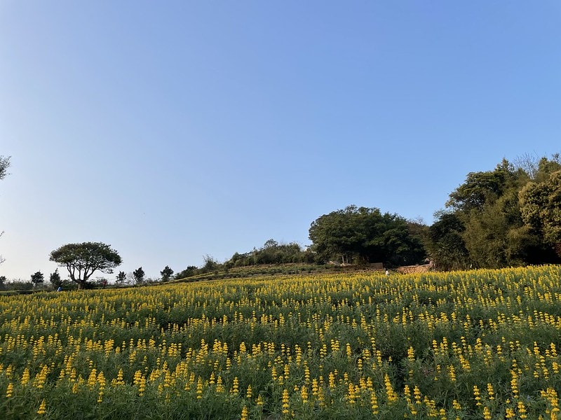 20251102-cy83b 20251102-cy83b