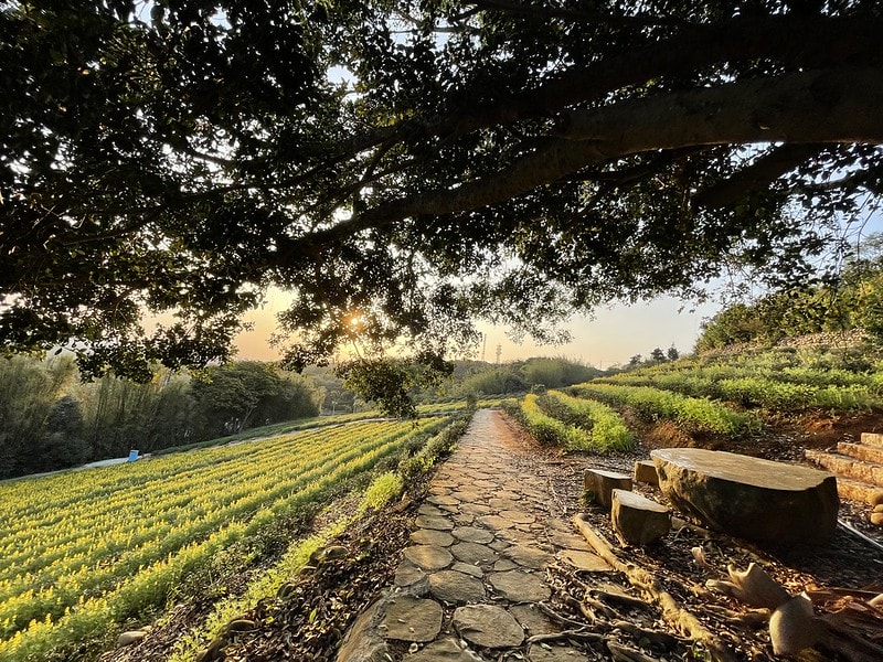 20251102-e5t1k 20251102-e5t1k