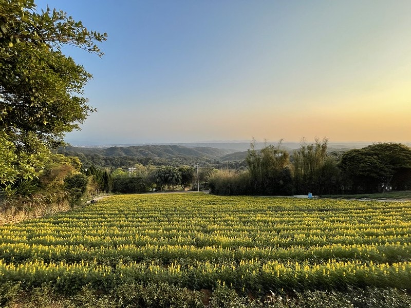 20251102-jvrmg 20251102-jvrmg