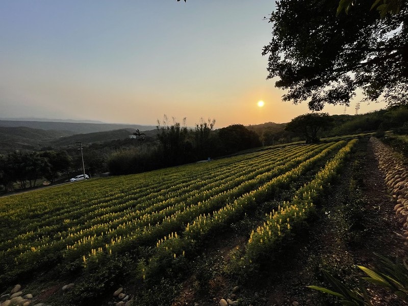 20251102-l7201 20251102-l7201