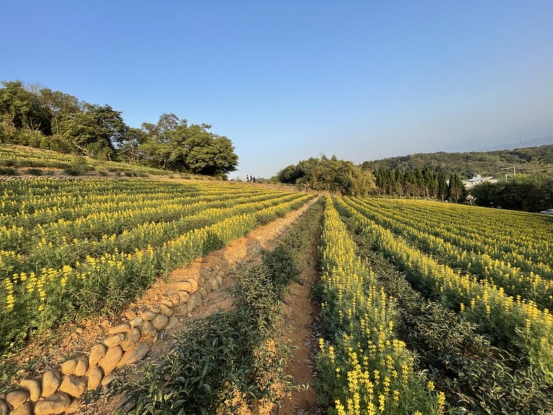 20251102-lo63v 20251102-lo63v