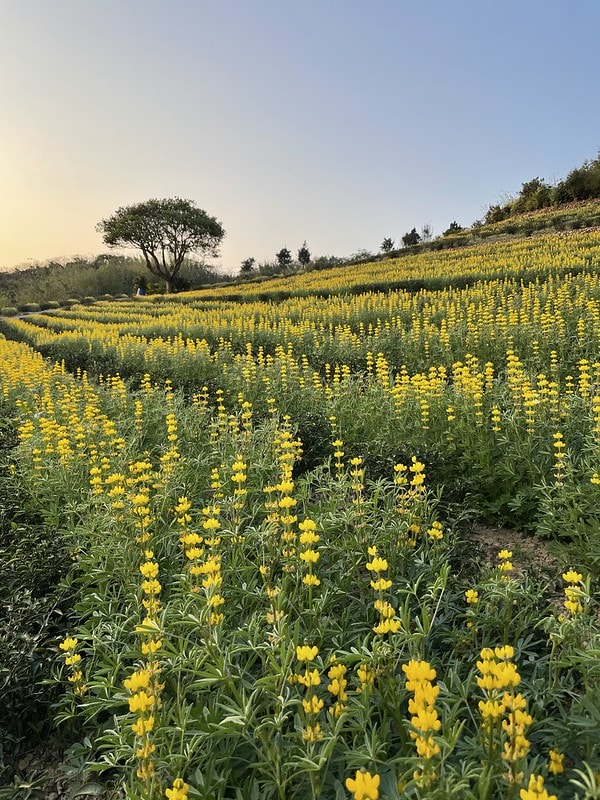 20251102-pm1vr 20251102-pm1vr