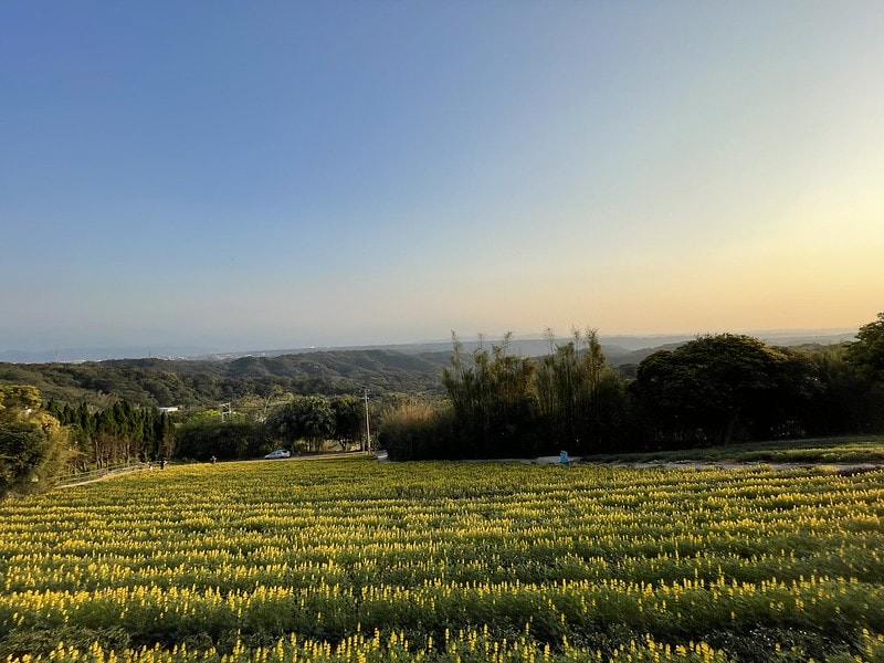 20251102-r3ukf 20251102-r3ukf