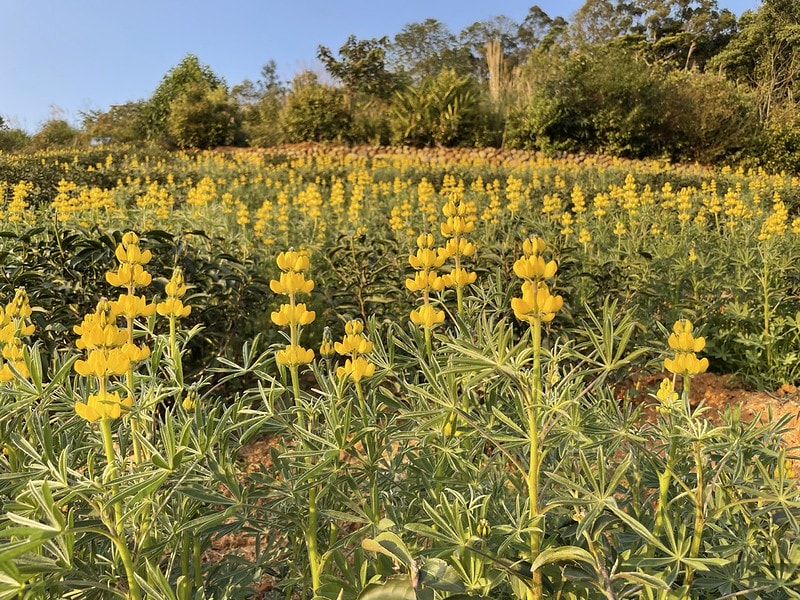 20251102-rj4vk 20251102-rj4vk