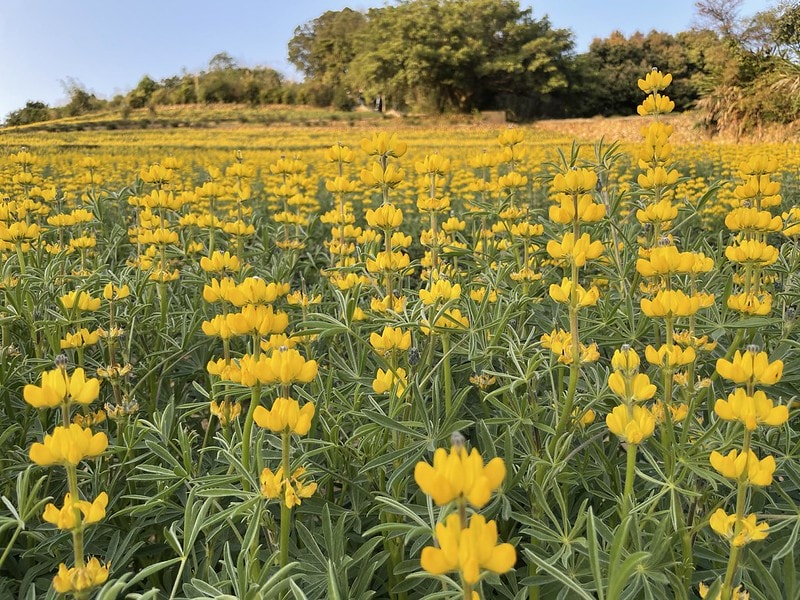 20251102-tcv6w 20251102-tcv6w