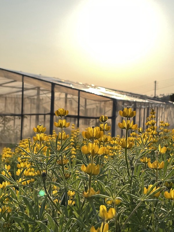 20251102-u9iqv 20251102-u9iqv