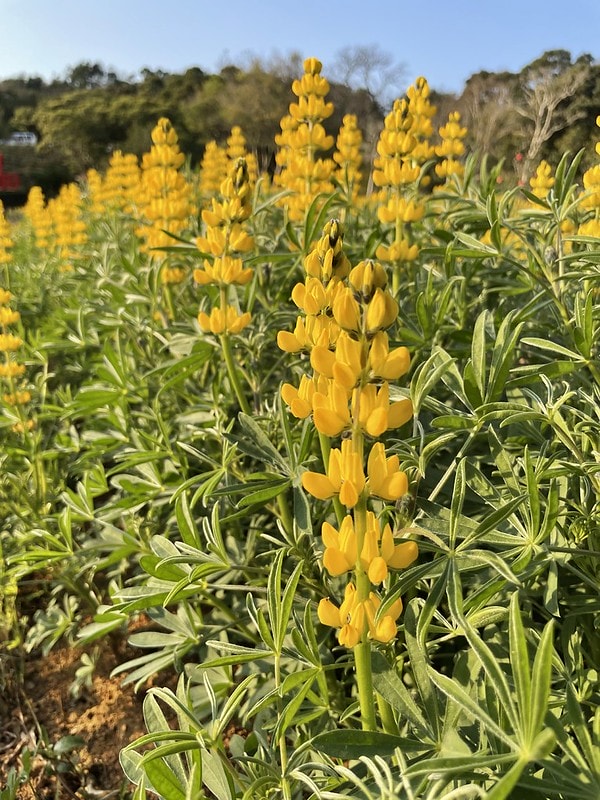 20251102-ub5t4 20251102-ub5t4