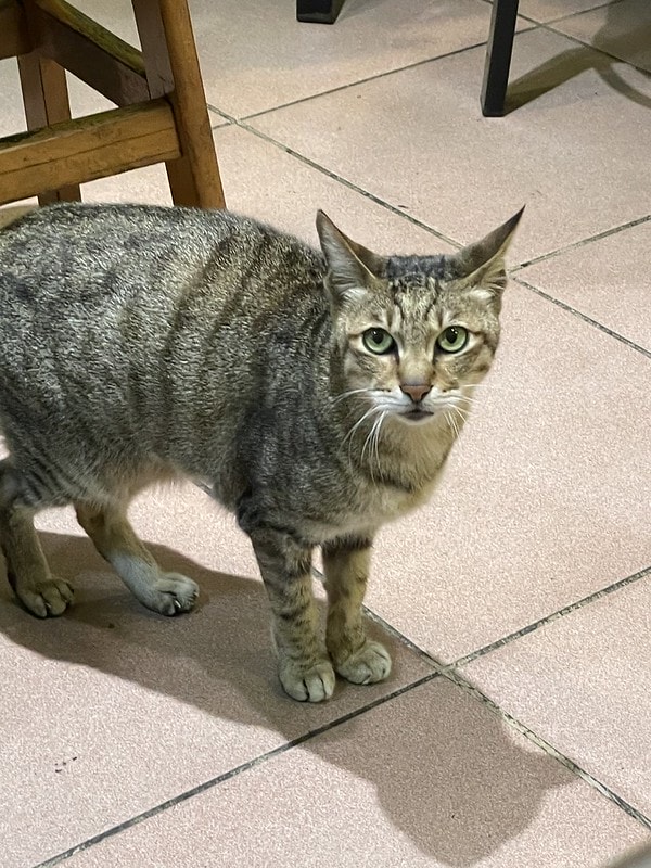 20251102-q0dwj 20251102-q0dwj