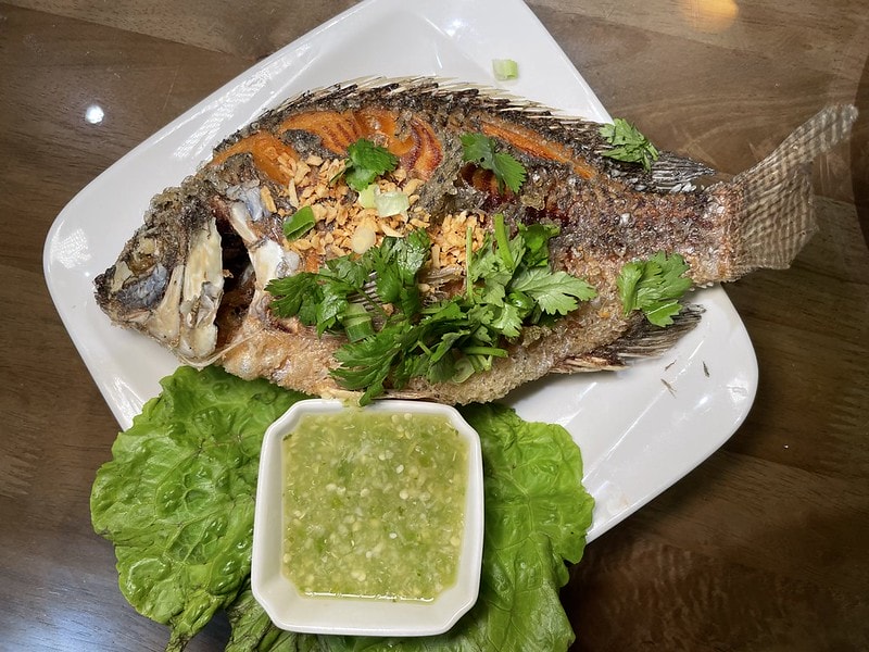 20251102-q68vp 20251102-q68vp