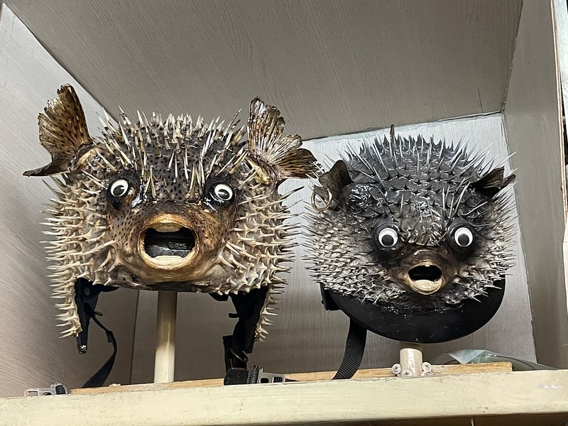 20251102-cxexp 20251102-cxexp