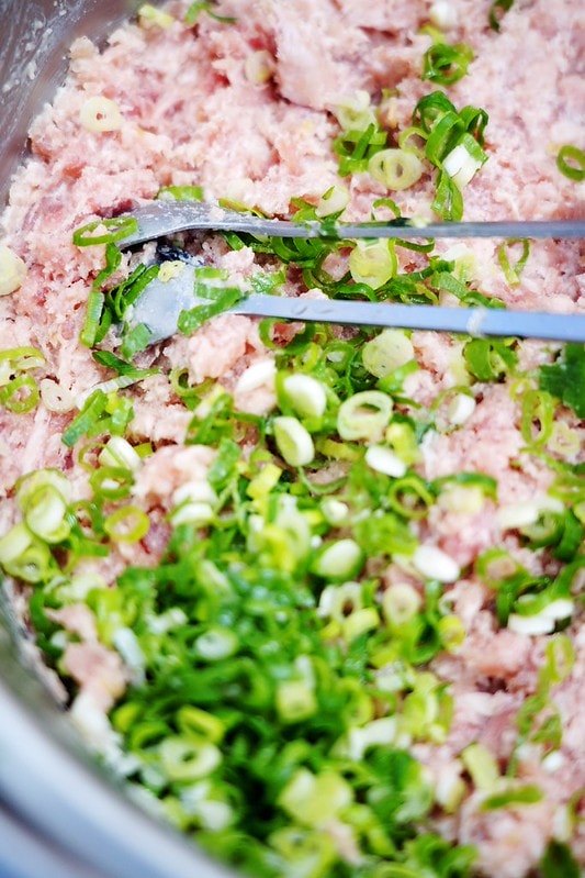 20251102-gc2vr 20251102-gc2vr