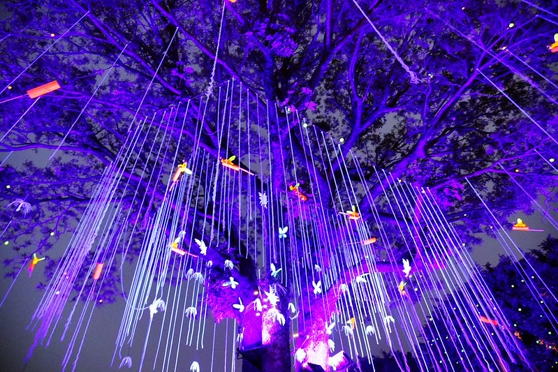 20251102-4sfwo 20251102-4sfwo