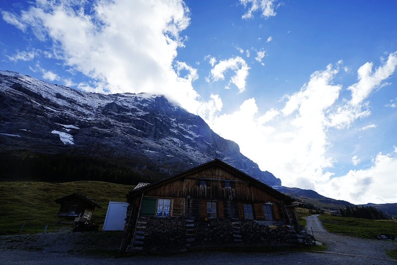 20251102-d1ggu 20251102-d1ggu