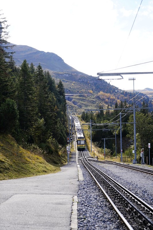 20251102-jl6ld 20251102-jl6ld