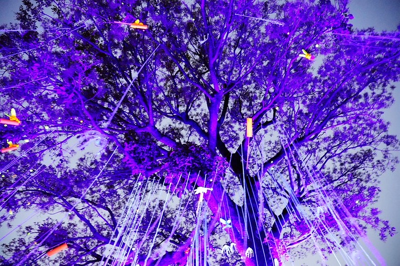 20251102-l9cio 20251102-l9cio