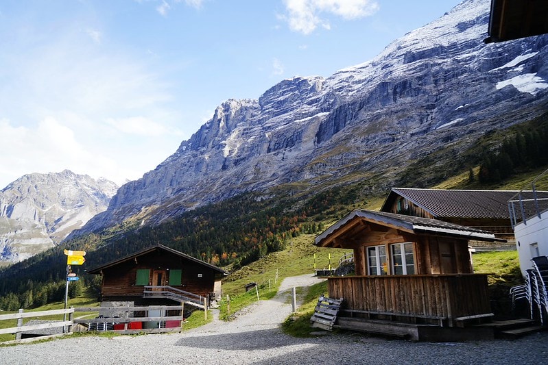 20251102-tillw 20251102-tillw