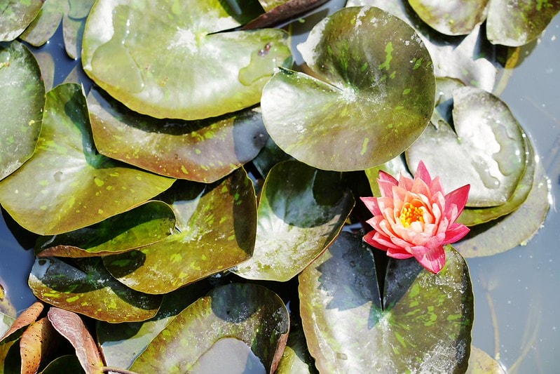 20251102-47dgj 20251102-47dgj