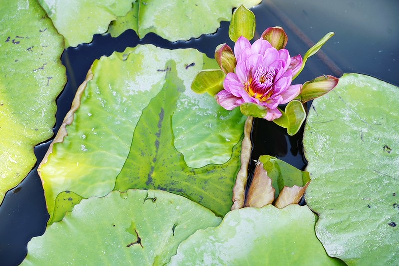 20251102-5y428 20251102-5y428