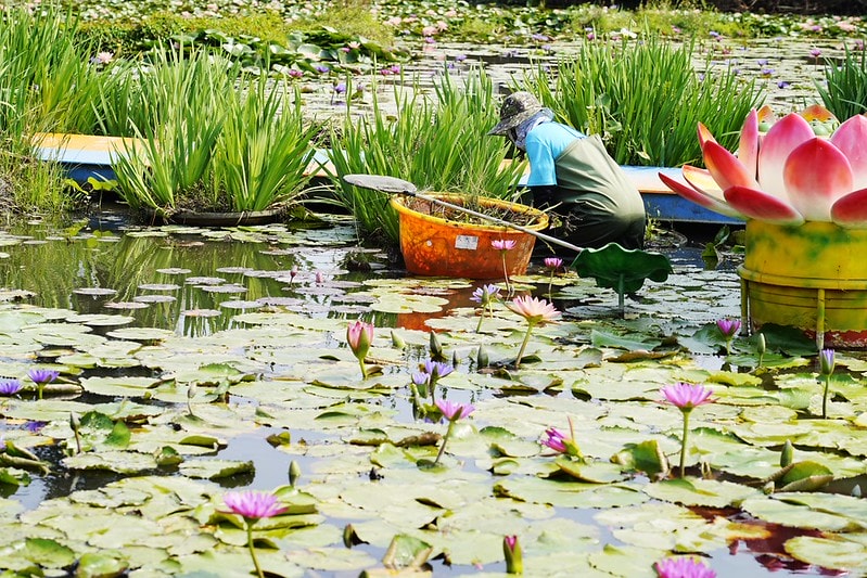 20251102-d27k8 20251102-d27k8