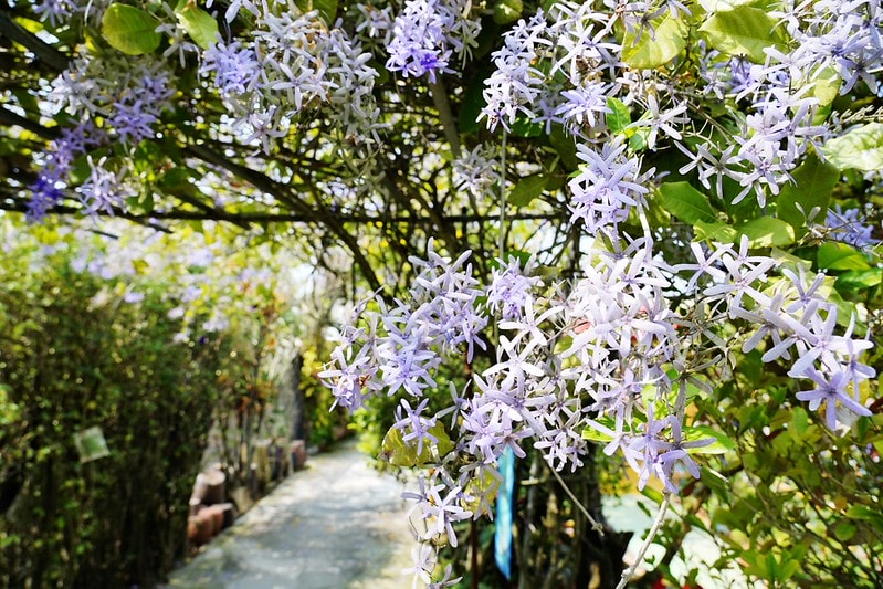 20251102-nyah4 20251102-nyah4