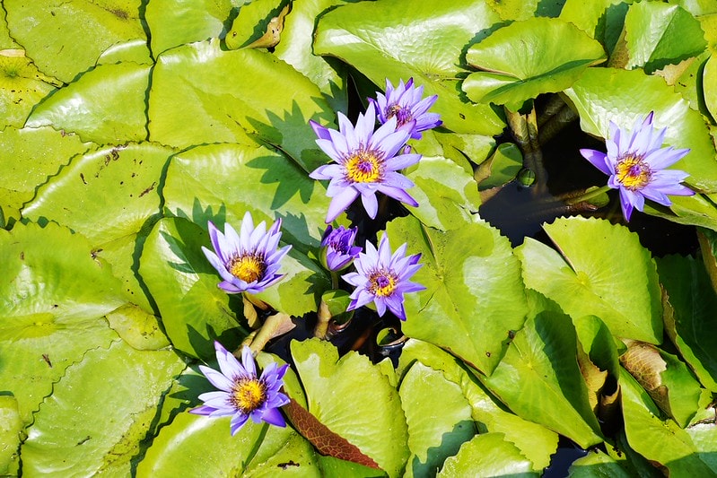 20251102-qf7ve 20251102-qf7ve