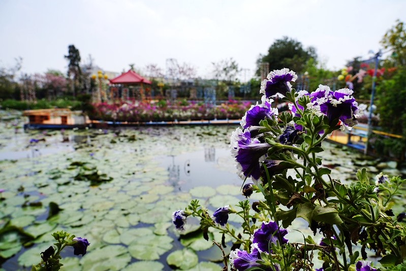 20251102-qn9m3 20251102-qn9m3