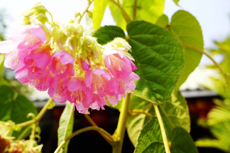 20251102-s8tw8 20251102-s8tw8