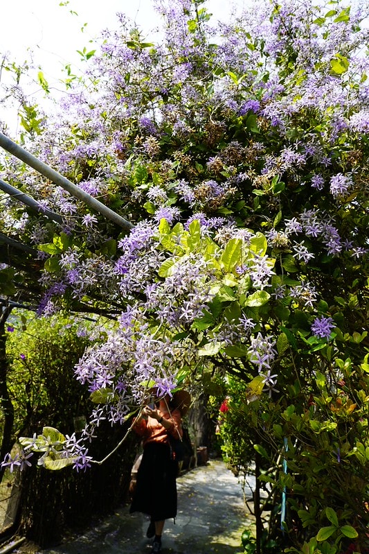 20251102-wuitw 20251102-wuitw