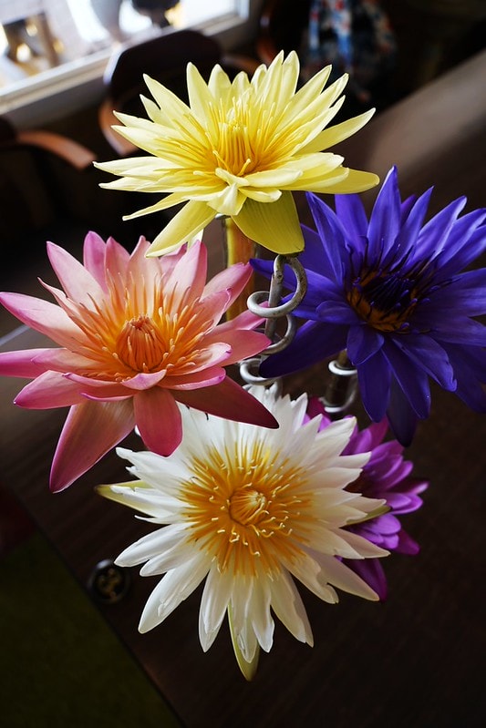 20251102-zhdd6 20251102-zhdd6