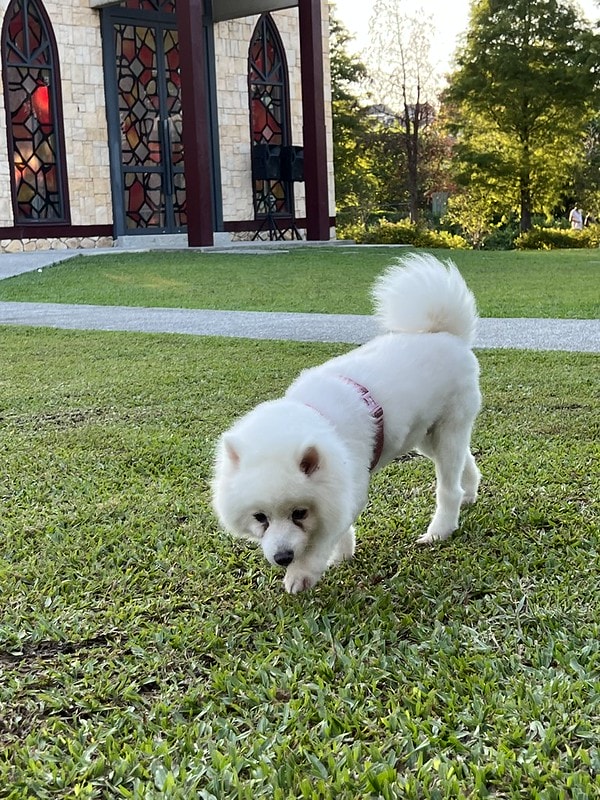 20251102-puyyh 20251102-puyyh