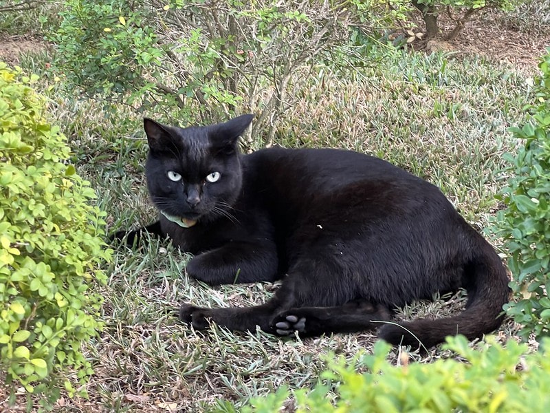 20251102-tidh6 20251102-tidh6