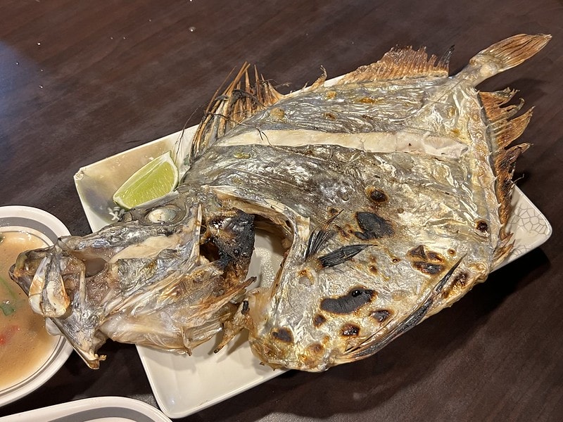 20251102-xu91d 20251102-xu91d