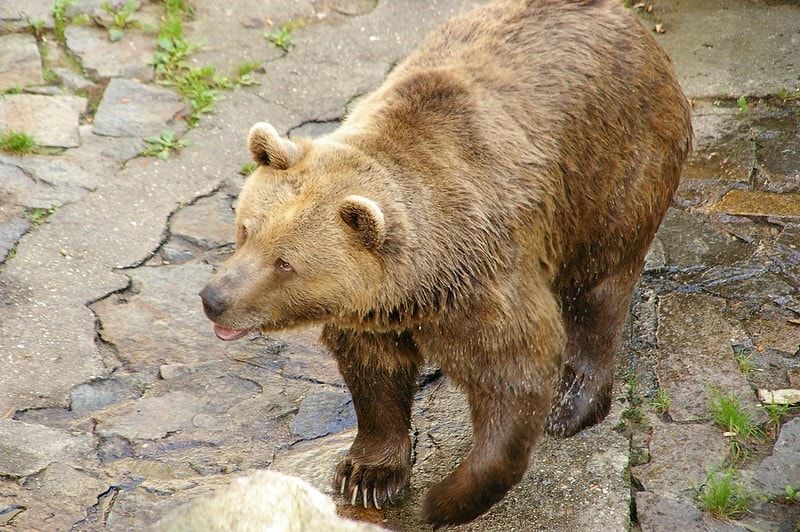 20251102-ynht7 20251102-ynht7