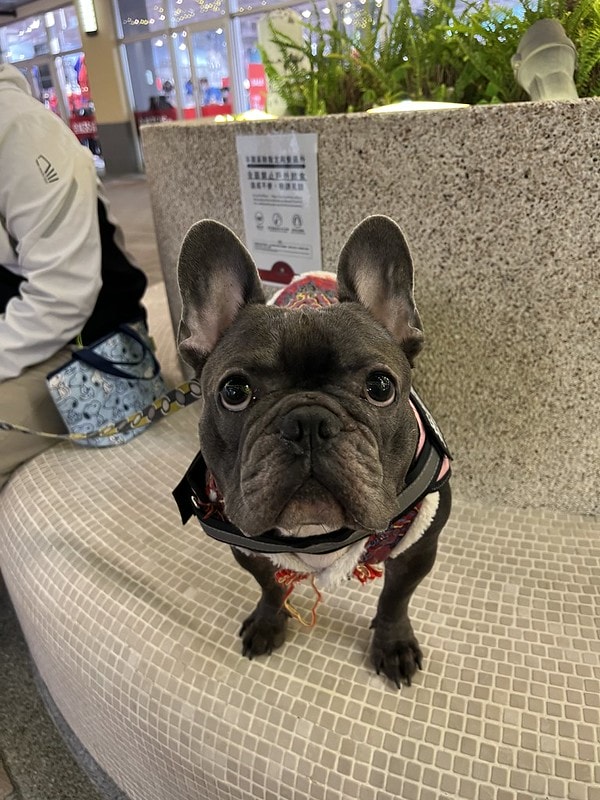 20251102-5gxis 20251102-5gxis