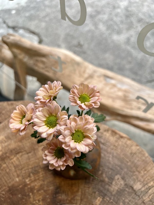 20251102-8rqrr 20251102-8rqrr