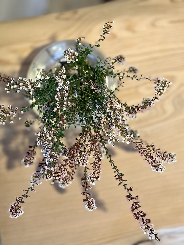 20251102-l87vp 20251102-l87vp