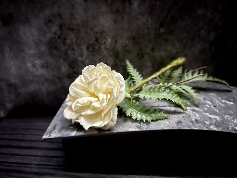 20251102-9o0kg 20251102-9o0kg