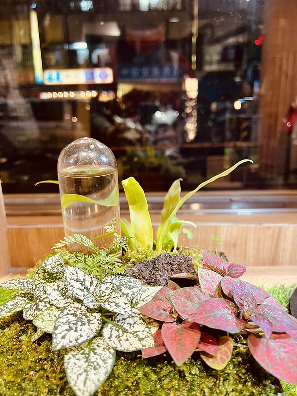 20251102-354zx 20251102-354zx