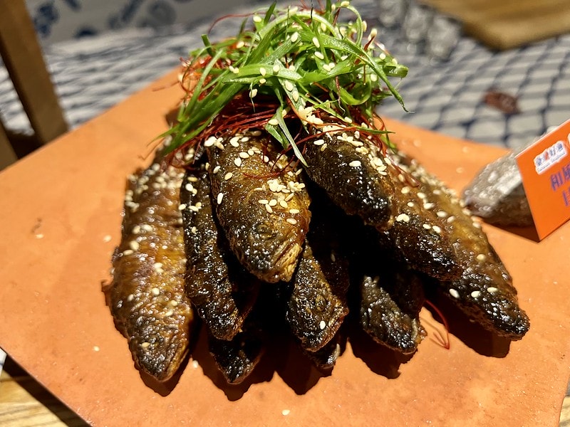 20251102-odon9 20251102-odon9