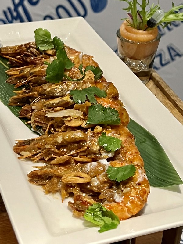 20251102-v2epy 20251102-v2epy