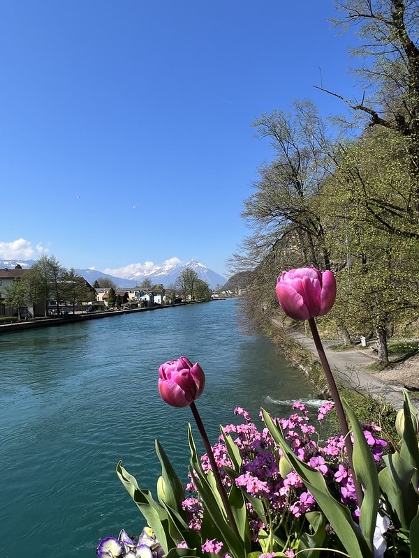 20251102-3olat 20251102-3olat